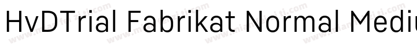 HvDTrial Fabrikat Normal Medium字体转换